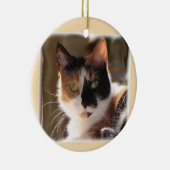 Pumpkin Ceramic Ornament (Rechts)