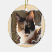 Pumpkin Ceramic Ornament (Links)