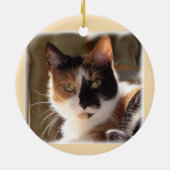 Pumpkin Ceramic Ornament (Achterkant)