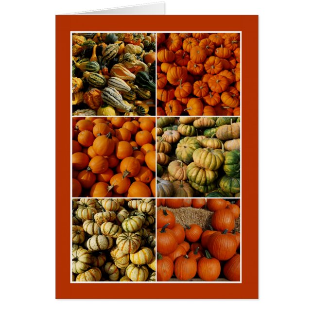 Pumpkin Collage (Voorkant)
