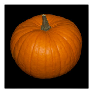 Pumpkin-foto op zwarte achtergrond perfect poster