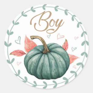 Pumpkin Gender Team Boy onthult Stickers