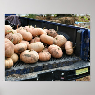Pumpkin Harvest on Pickup Truck Herfst Poster