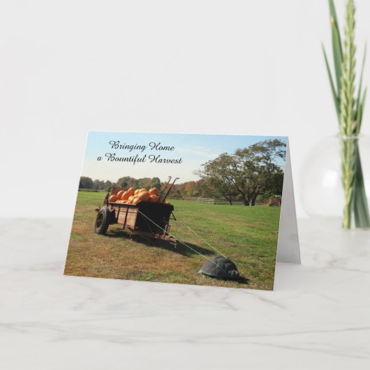 Pumpkin Harvest - Thanksgiving Kaart (Voorkant)