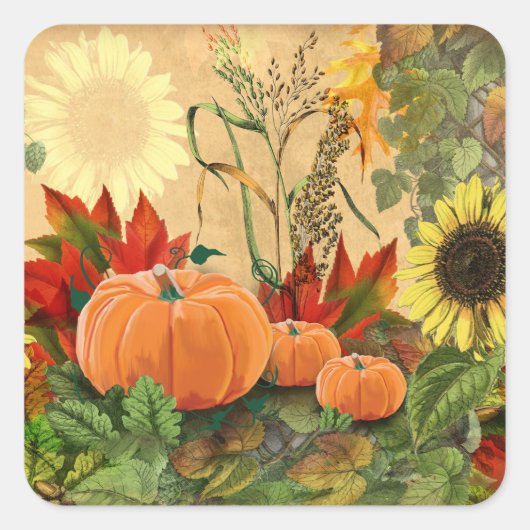 Pumpkin Herfst Harvest Vierkante Sticker (Voorkant)