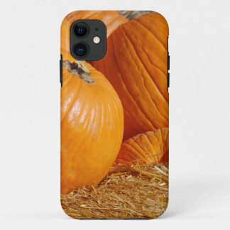 Pumpkin-Herfst Scene iPhone 11 Hoesje