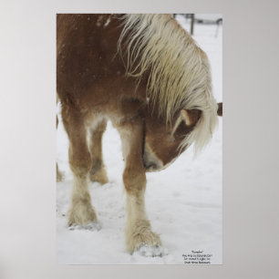 Pumpkin in sneeuw poster