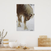 Pumpkin in sneeuw poster (Keuken)