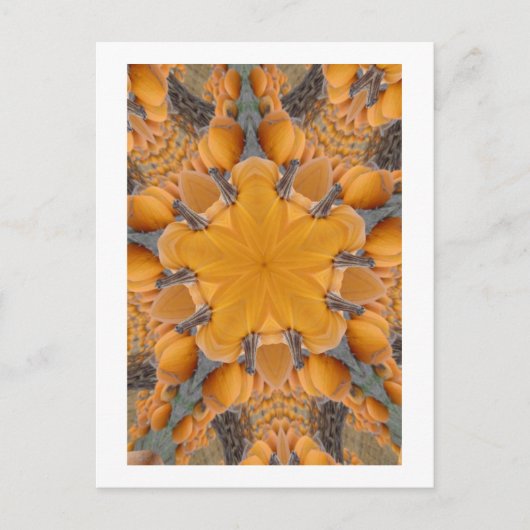 Pumpkin Kaleidoscope Briefkaart (Voorkant)