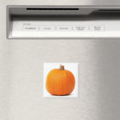 Pumpkin Magnet Magneet (Insitu (Vaatwasser))