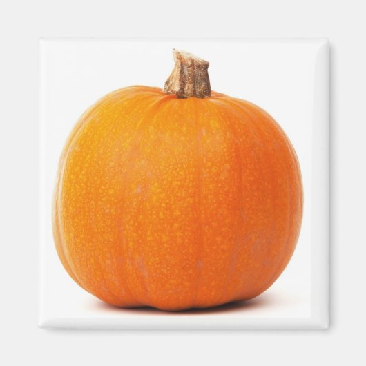 Pumpkin Magnet Magneet (Voorkant)