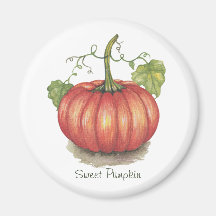 Pumpkin met wijnstokken in Waterverf