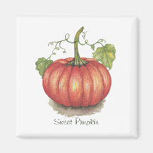 Pumpkin met wijnstokken in Waterverf
