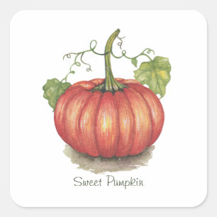 Pumpkin met wijnstokken in Waterverf Vierkante Sticker