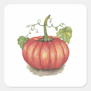 Pumpkin met wijnstokken in Waterverf Vierkante Sticker