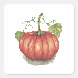 Pumpkin met wijnstokken in Waterverf Vierkante Sticker