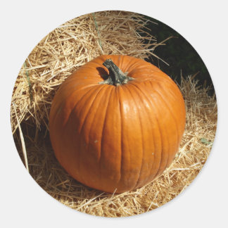 Pumpkin op Hay Bales Ronde Sticker