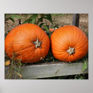 Pumpkin Pair Herfst Poster