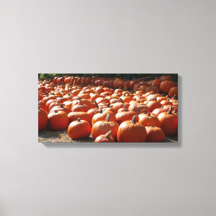 Pumpkin Patch Autumn Harvest Photography Canvas Afdruk