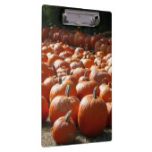 Pumpkin Patch Autumn Harvest Photography Klembord (Rechts)