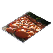 Pumpkin Patch Autumn Harvest Photography Notitieboek (Linkerzijde)