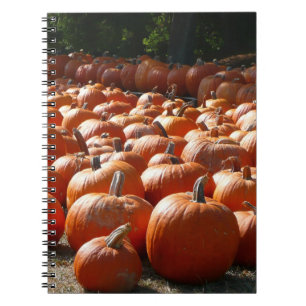 Pumpkin Patch Autumn Harvest Photography Notitieboek