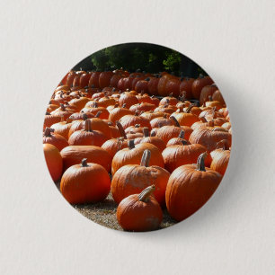 Pumpkin Patch Autumn Harvest Photography Ronde Button 5,7 Cm
