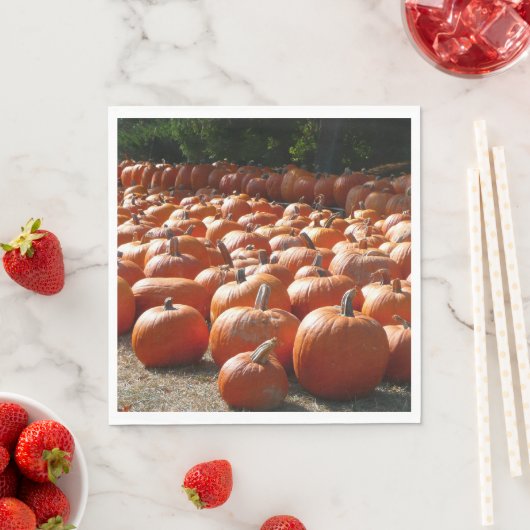 Pumpkin Patch Autumn Harvest Photography Servetten (Insitu)