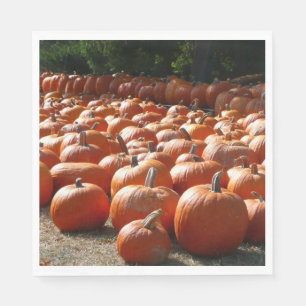 Pumpkin Patch Autumn Harvest Photography Servetten