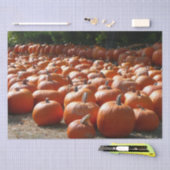Pumpkin Patch Autumn Harvest Photography Tissuepapier (Craft)