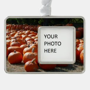 Pumpkin Patch Autumn Harvest Photography Verzilverd Kader Ornament