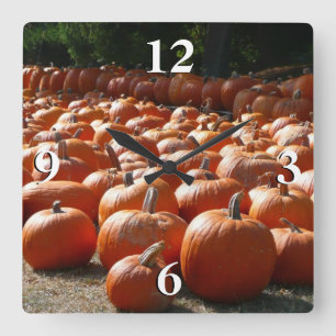 Pumpkin Patch Autumn Harvest Photography Vierkante Klok