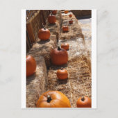 Pumpkin Patch Briefkaart (Voorkant)