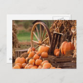 Pumpkin Patch Briefkaart (Voorkant / Achterkant)