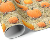 Pumpkin Patch Cadeaupapier (Rol Hoek)