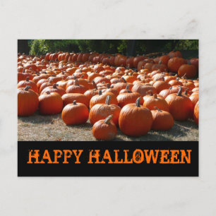 Pumpkin Patch Happy Halloween Briefkaart