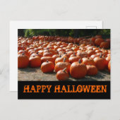 Pumpkin Patch Happy Halloween Briefkaart (Voorkant / Achterkant)