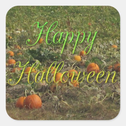 Pumpkin Patch Herfst Autumn Halloween Stickers (Voorkant)