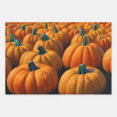 Pumpkin Patch Inpakpapier Vel (Voorkant 3)