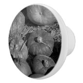 Pumpkin Patch Keramische Knop (Rechts)