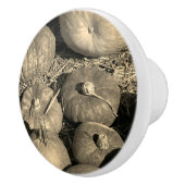 Pumpkin Patch Keramische Knop (Rechts)