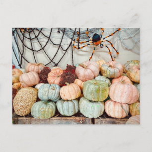 Pumpkin Patch Magic Briefkaart