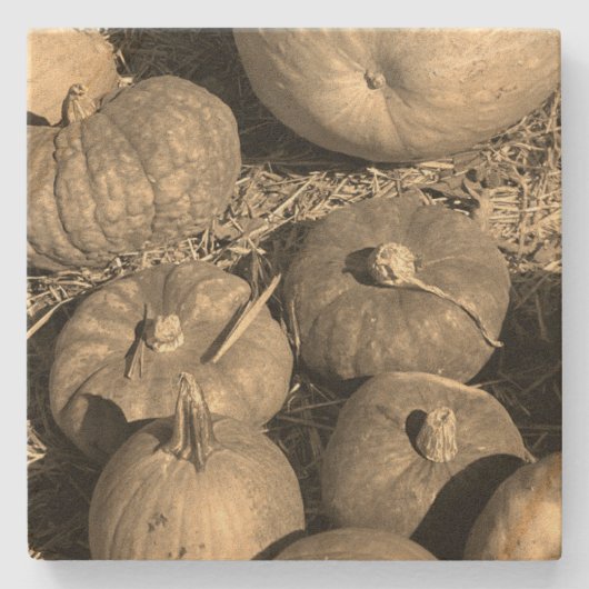 Pumpkin Patch Stenen Onderzetter (Voorkant)
