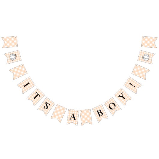 Pumpkin Peach Gingham Baby shower Bunting Flags Vlaggetjes (Alle)