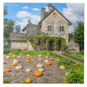 Pumpkin-pleister en boerderij-bouwkeramische tegel tegeltje
