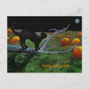 Pumpkin-pleister, Happy Halloween Briefkaart
