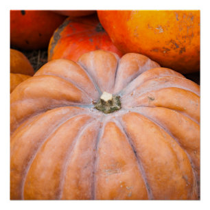 Pumpkin Season Perfect Poster