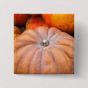 Pumpkin Season Vierkante Button 5,1 Cm