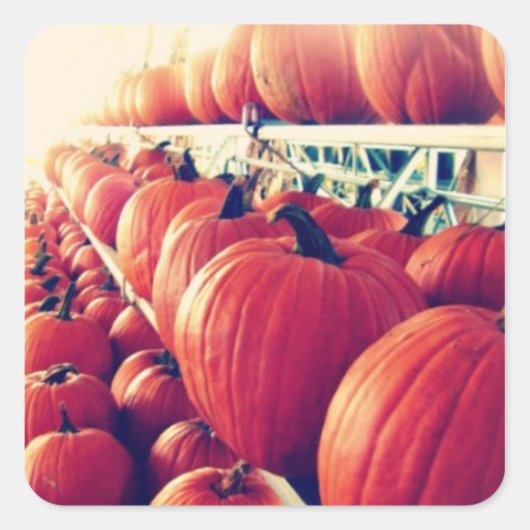 Pumpkin Sticker (Voorkant)
