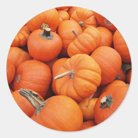Pumpkin Sticker (Voorkant)